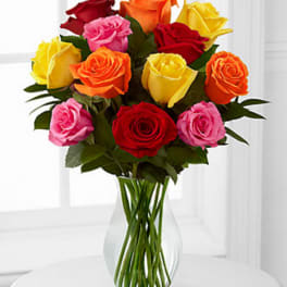 1 Dozen Multi Colored Roses