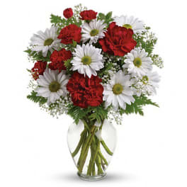 Red carnations and white daisies in a clear glass vase