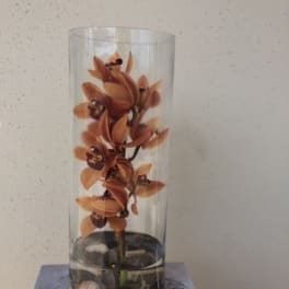 Orange orchid stems in a tall clear glass vase with stones
