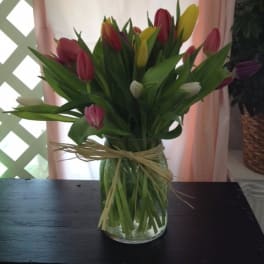 Tulips of Happiness