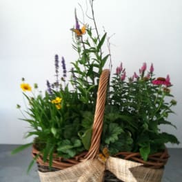 Perennial Garden Basket
