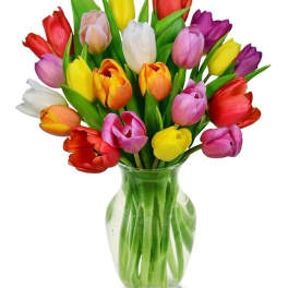 Spring Tulips Bouquet
