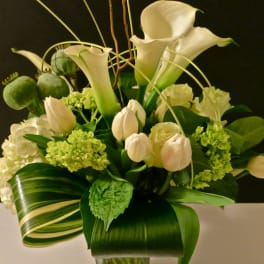 Green and white in the Studio's Signature style. What's not to love in classic green and white?