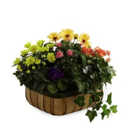 The FTD Gentle Blossoms Basket