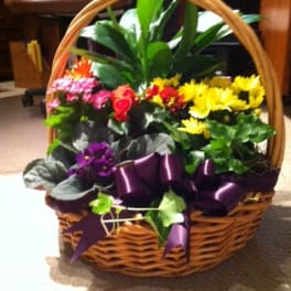 Basket garden of mixed blooming plants with yellow, pink, and purple flowers and a purple ribbon bow