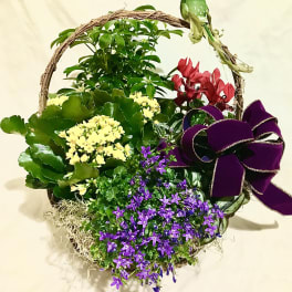 Basket garden of mixed green plants with yellow, red, and purple flowers, a purple bow, and a small green bird decoration.