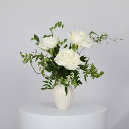 White roses in a white vase with airy greenery
