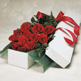 Dozen Roses In Box