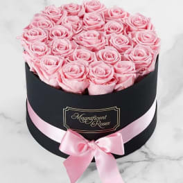 Pink roses arranged in a round black box with a pink ribbon bow