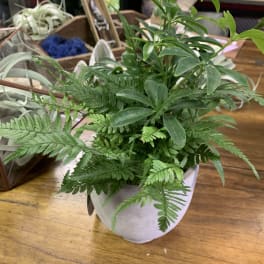 Potted green plant arrangement in a white ceramic container