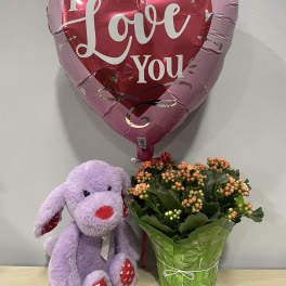 Heart-shaped "I Love You" balloon with a purple plush dog and potted flowers