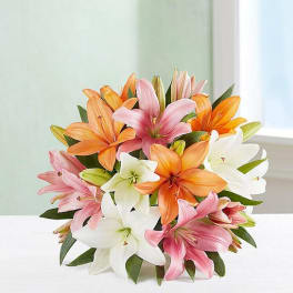 Bouquet of pink, orange, and white lilies