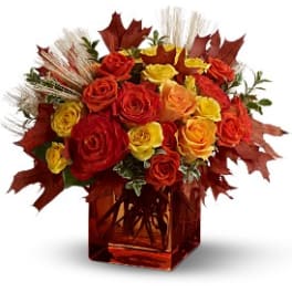 Teleflora's Fine Fall Roses