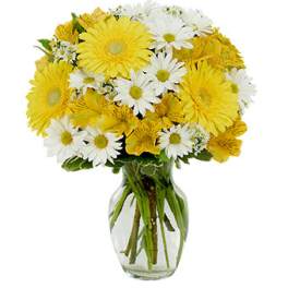 Daisy a Day Bouquet
