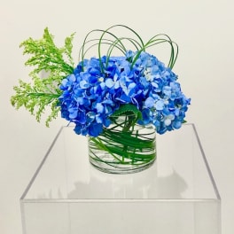Blue hydrangea arrangement in a clear glass vase with green decorative loops