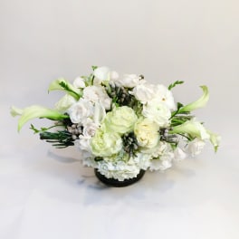 White floral arrangement with pale green calla lilies in a low black vase