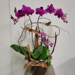 Purple orchids arranged in a decorative basket with broad green leaves