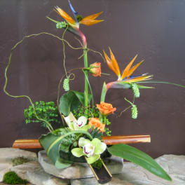 Tropical floral arrangement with bird-of-paradise and orchids in a low container