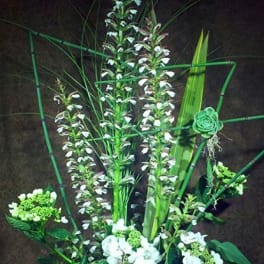 Tall floral arrangement with white orchids and green accents