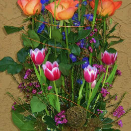 Tall bouquet of blue irises and pink tulips in a glass vase
