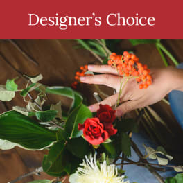 Designer's Choice