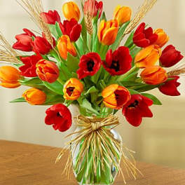 Timeless Tulips for Fall