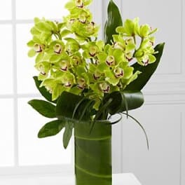 Green orchid arrangement in a tall glass vase