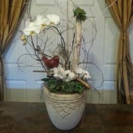 White orchids arranged in a decorative white planter with branches and a red bird accent.