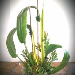 Tall succulent arrangement with large arching leaves and yellow spikes