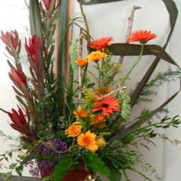 Tall floral arrangement with orange gerbera daisies and red tropical blooms