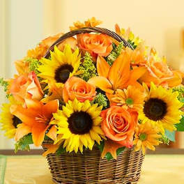 Fields of Europe for Fall Basket