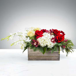 Low wooden box arrangement with red and cream roses, white hydrangeas and orchids, and evergreen accents.