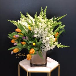 White snapdragons and multicolored tulips in a square glass vase