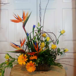 Tropical floral arrangement with orange bird-of-paradise and yellow roses in a basket