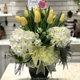 Cheerful Yellow Tulips and Hydrangeas by Petals