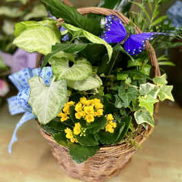 Basket planter with green foliage, yellow flowers, and a purple butterfly decoration