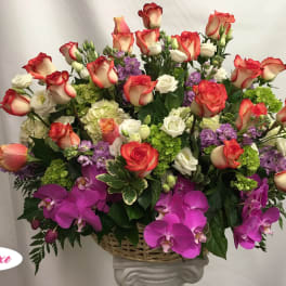 Large basket arrangement of red-edged roses, purple orchids, and green hydrangeas