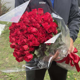 Large bouquet of dozens of red roses wrapped in clear cellophane with a red ribbon