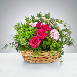 Basket arrangement with hot pink roses, green hydrangea, button poms, and ivy around the handle.