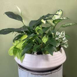 Green Planter