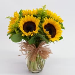 Vase of bright yellow sunflowers with dark centers and filler blooms tied with a raffia bow.