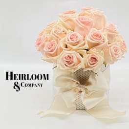 Bouquet of pale peach roses wrapped with a cream ribbon