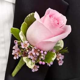 Pink rose boutonniere with tiny pink blossoms and variegated greenery on a black suit lapel