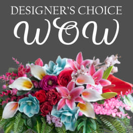 Designer's Choice WOW