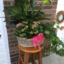 Potted plant arrangement with pink blooms in a wicker basket on a stool