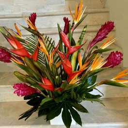 Tropical arrangement with red and orange bird-of-paradise flowers in a white vase