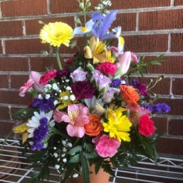 Colorful mixed flower arrangement in a terracotta pot