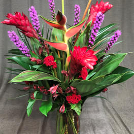 Heliconia color blast tropical valentine