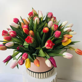 Bouquet of multicolored tulips in a pink vase