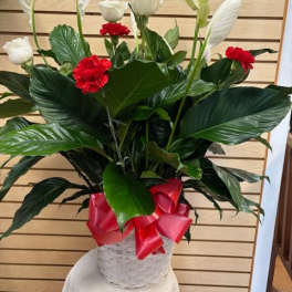 Tall white floral arrangement with red accents in a basket